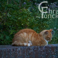 DSC00837 kl