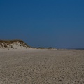 DSC04359