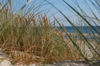 DSC04370