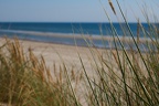 DSC04374