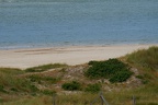 DSC04440