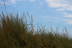 DSC04482